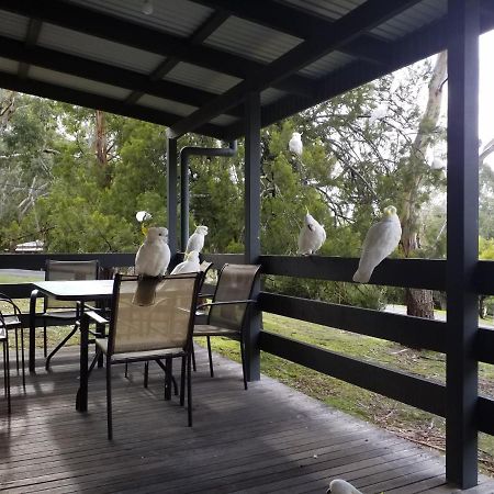 Cockatoo Cabin Halls Gap Buitenkant foto