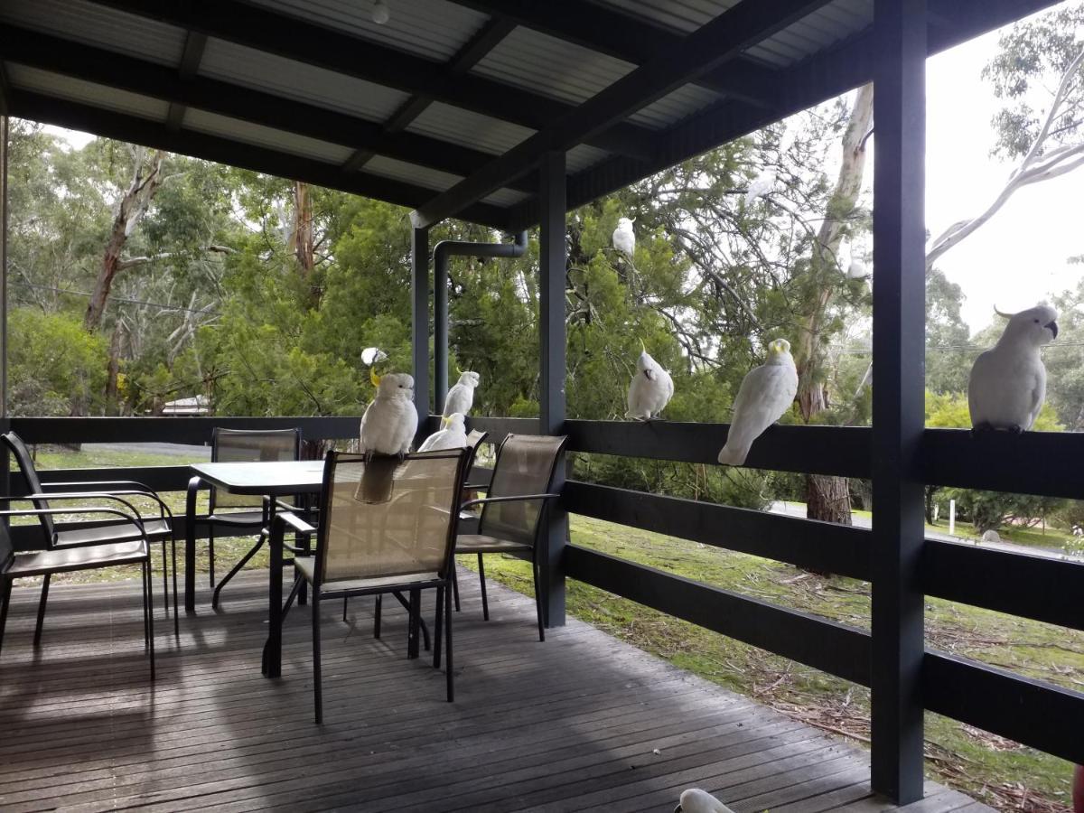 Cockatoo Cabin Halls Gap Buitenkant foto