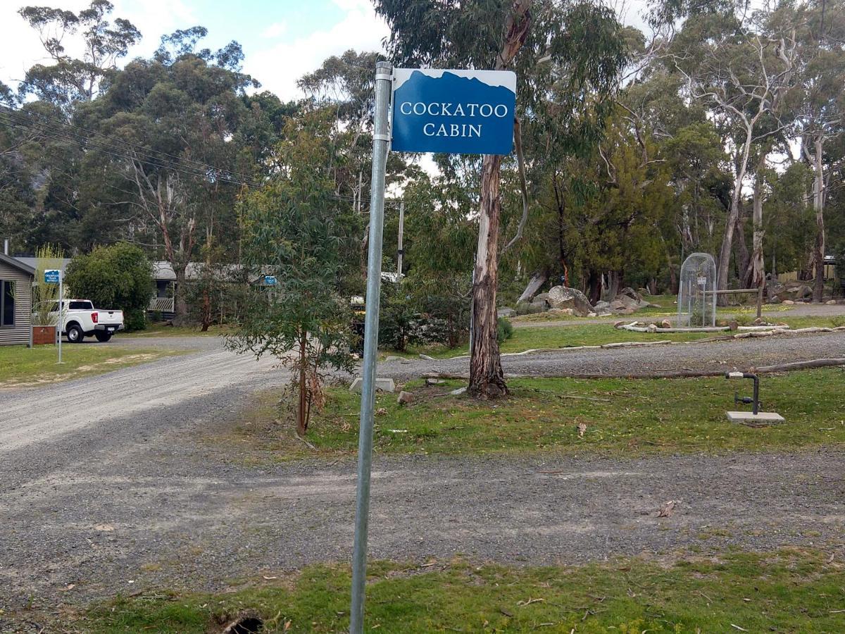 Cockatoo Cabin Halls Gap Buitenkant foto
